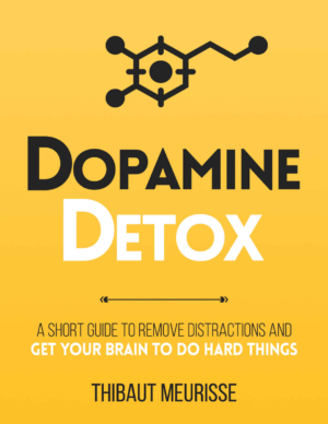 Dopamine Detox : Un Guide Court pour Éliminer les Distractions – Thibaut Meurisse